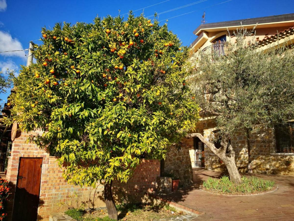 La Ginestra Hotel Castel San Lorenzo Exterior photo
